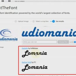 Раскладка визиток на печать из PDF